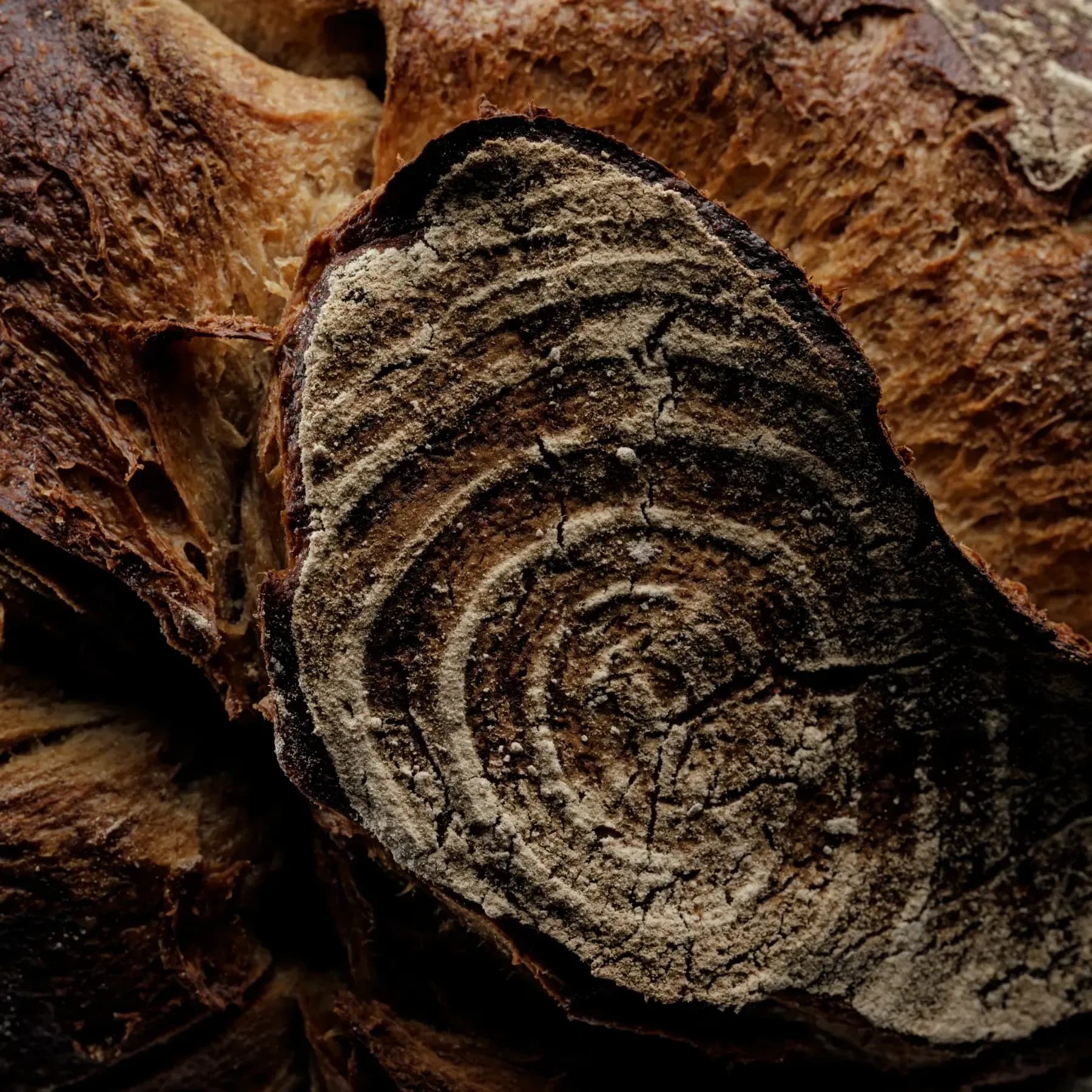 Preview Case Öfferl